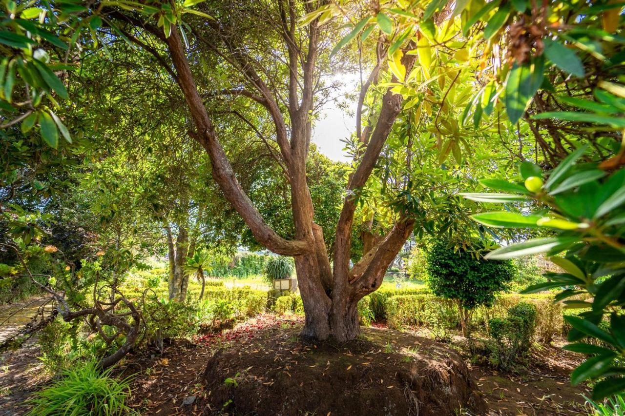 Casa Da Tia Clementina Villa Santana  Kültér fotó